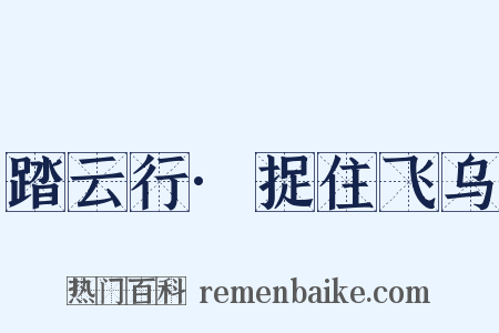 踏云行·捉住飞乌是什么意思的图片